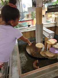 Sustainable Safari photo 2