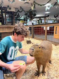 Sustainable Safari photo 3