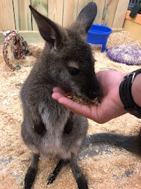 Sustainable Safari photo 4