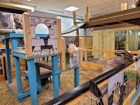 Sustainable Safari photo 5