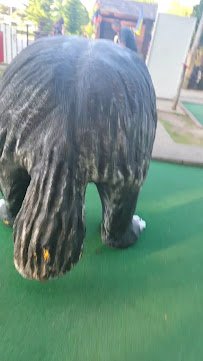 Red Putter Mini Golf photo 2