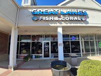 Great Lakes Fish and Coral