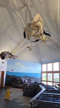 Seacoast Science Center photo 2