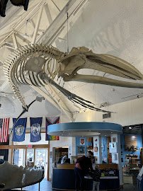 Seacoast Science Center photo 6