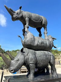 San Antonio Zoo photo 4