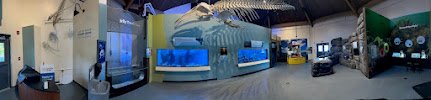 Maine State Aquarium