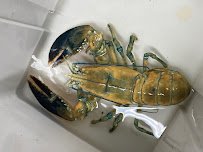 Maine State Aquarium photo 4