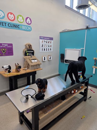 Black Earth Children's Museum photo 5