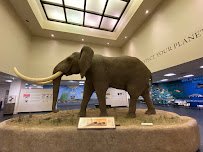 Bean Life Science Museum photo 5