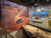 Museum of Nature & Science
