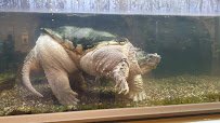 Museum of Nature & Science photo 2