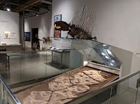 Museum of Nature & Science photo 3