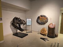 Museum of Nature & Science photo 5