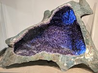 Museum of Nature & Science photo 6