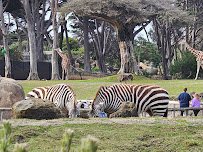 San Francisco Zoo photo 3