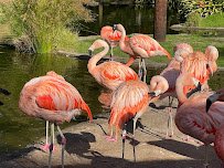 San Francisco Zoo photo 4