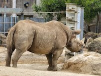 San Francisco Zoo photo 6