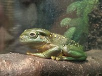 John Ball Zoo - South America