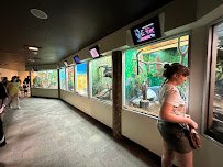 John Ball Zoo - South America photo 2