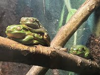 John Ball Zoo - South America photo 6
