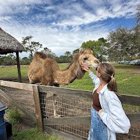 Exotic Animal Experience photo 3