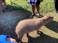 Exotic Animal Experience photo 4