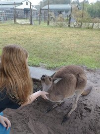 Exotic Animal Experience photo 5