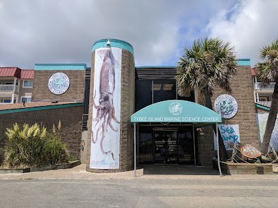 Tybee Island Marine Science Center photo 3