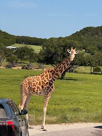 Fossil Rim Wildlife Center-Animal Discoveries photo 3