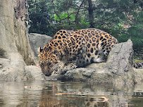 Staten Island Zoo photo 3