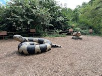 Staten Island Zoo photo 4