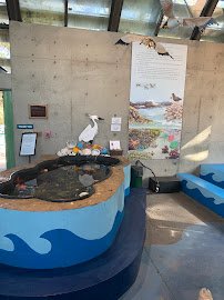 Environmental Discovery Center of Sonoma County photo 4