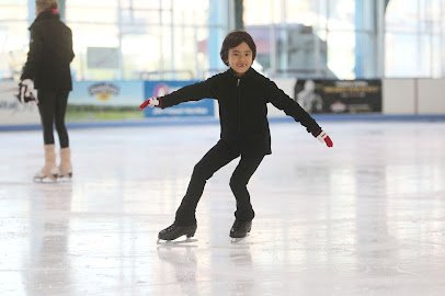 Chelsea Piers Sky Rink photo 4