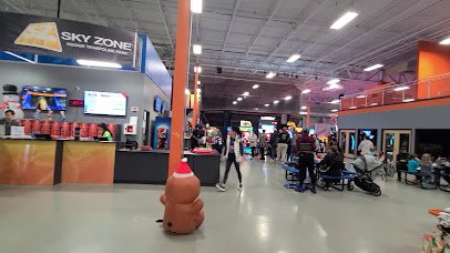Sky Zone photo 2