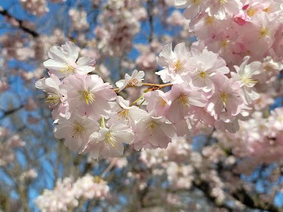Yakima Area Arboretum photo 6