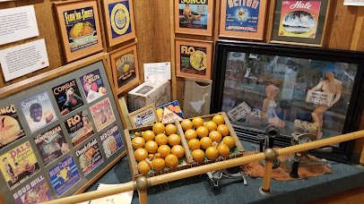 Indian River Citrus Museum photo 6