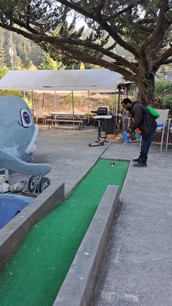 Pee Wee Golf & Arcade photo 2