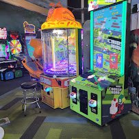 Wilderness Adventure Forest photo 3