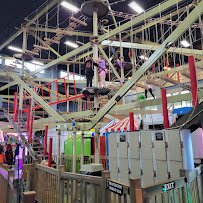 Wilderness Adventure Forest photo 4