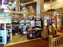 Wilderness Adventure Forest photo 5