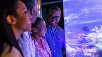 SeaBase Aquarium