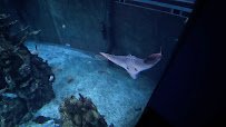 SeaBase Aquarium photo 2