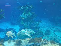 SeaBase Aquarium photo 3