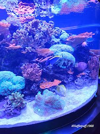 SeaBase Aquarium photo 4