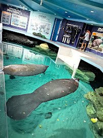 SeaBase Aquarium photo 5