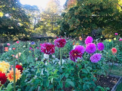 Bayard Cutting Arboretum photo 4