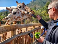 Cheyenne Mountain Zoo photo 5