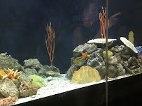 The Great Barrier Reef photo 2