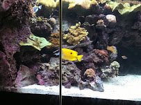 The Great Barrier Reef photo 6