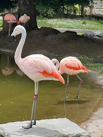 Sequoia Park Zoo photo 4